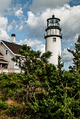 Evergreens Around Cape Cod Light - Gritty Look